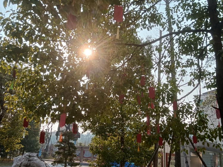 图片22.jpg