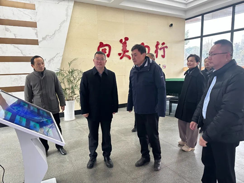 图片4_副本.png